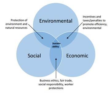 Environment, one of the key components of a global sustainability approach