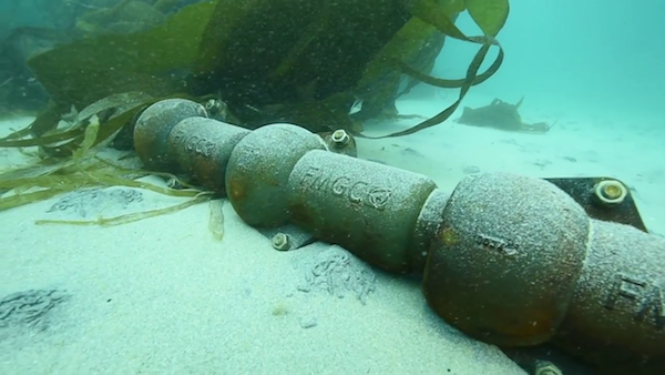 FMGC Subsea Cable Protection System