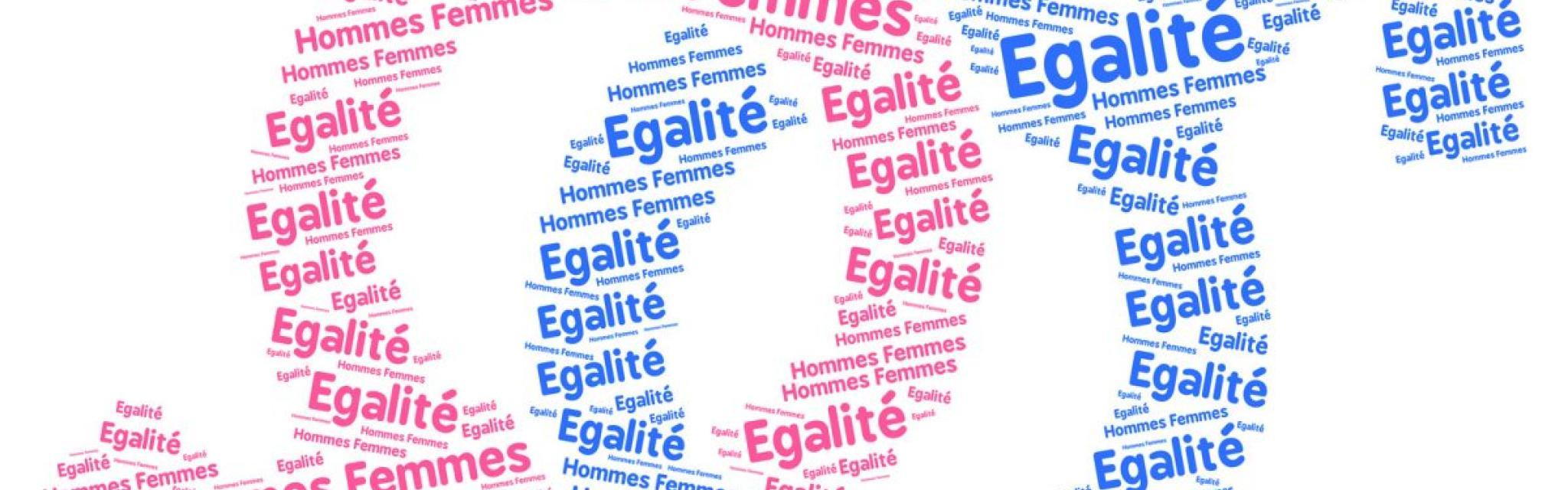 Французские девизы. Франция для всех лозунг. Egalite. Девиз французской Республики. Liberte egalite Fraternite.