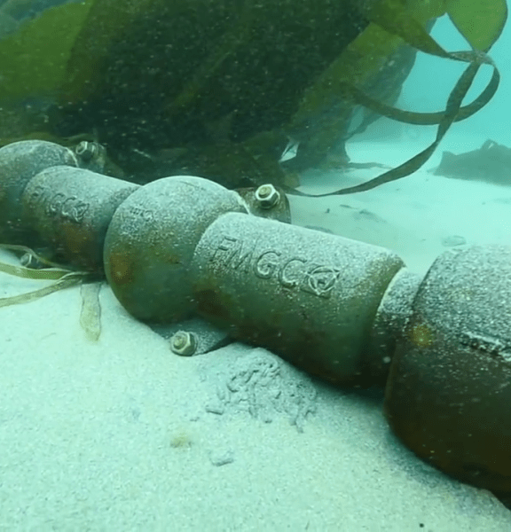 FMGC Subsea Cable Protection and Stabilisation System