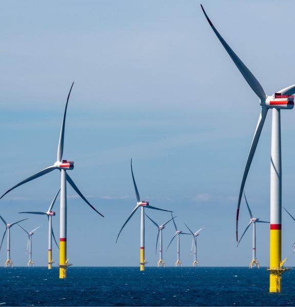 Marine Renewable Energy Farinia Group